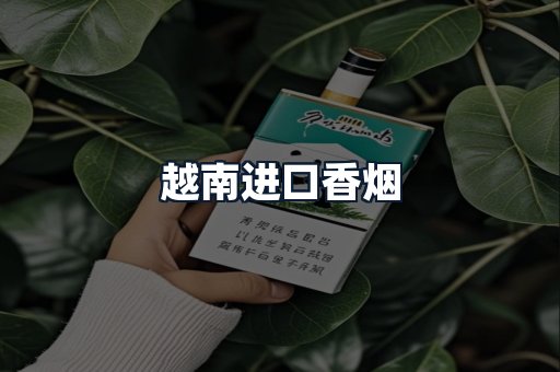 越南进口香烟